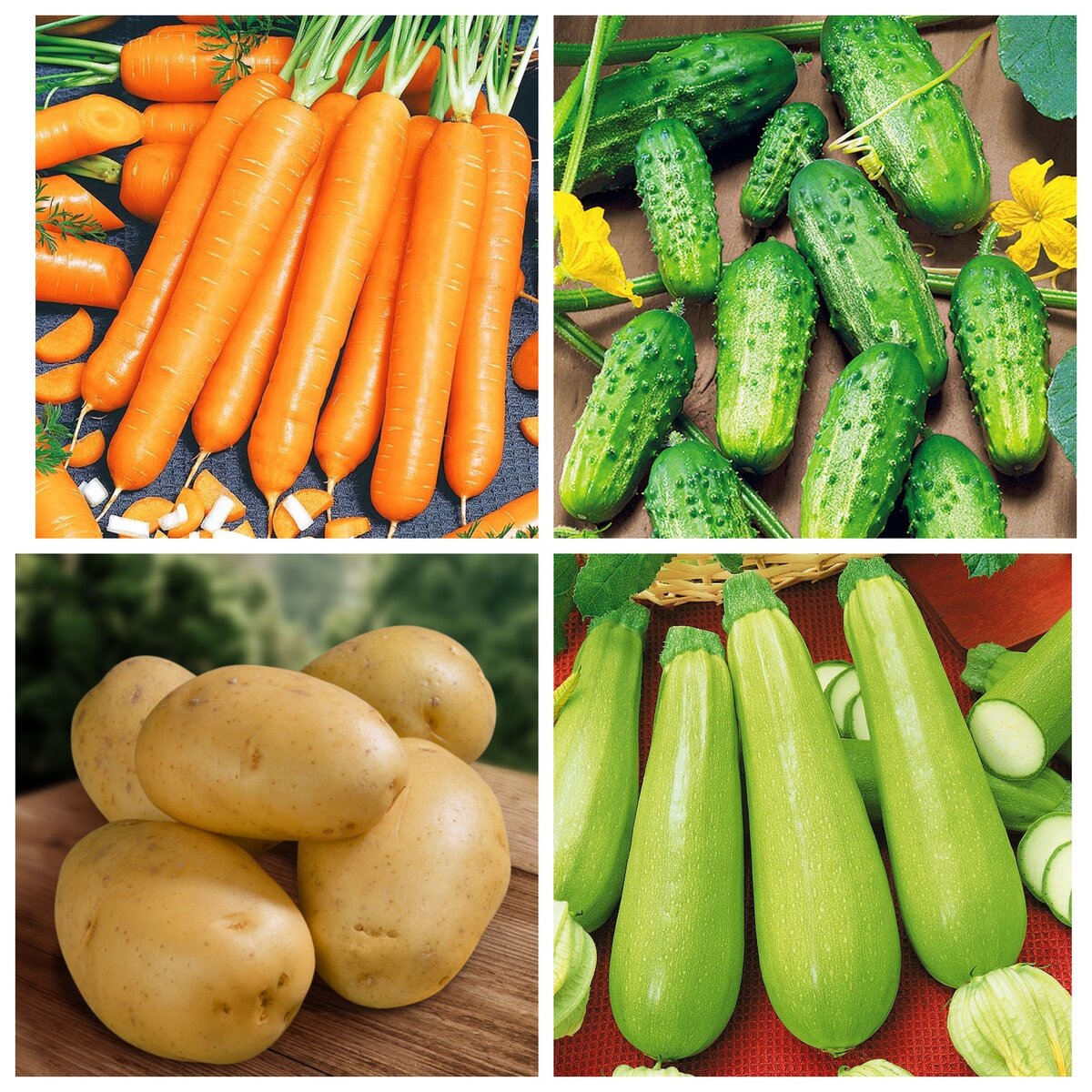 Коллаж автора. Подборка Яндекс. картинки