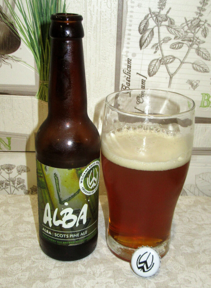 Heather Ales Alba Scots Pine Ale. Выгодно ли покупать пиво с вот-вот  истекающим сроком годности? | Провинциальный пиволюб | Дзен