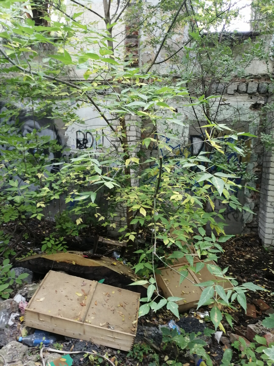 Внутри хлам.