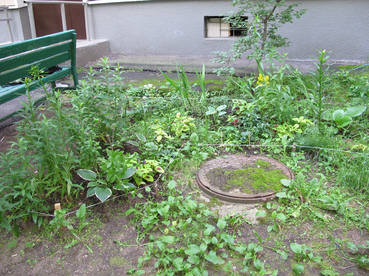 Темно, но теперь цветасто!