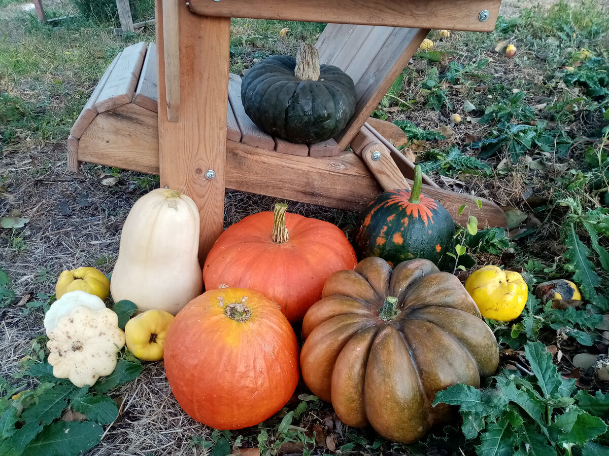 Это лишь часть из них.