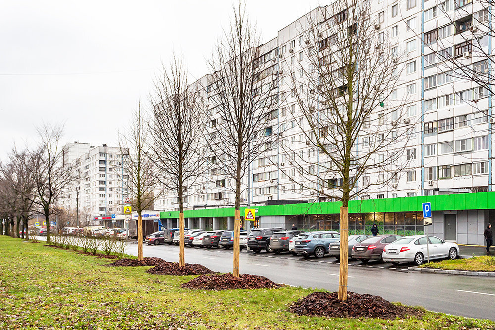 Алтуфьевское шоссе. Фото: Комплекс городского хозяйства Москвы