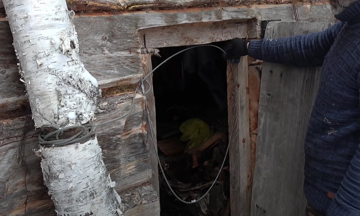 Бывалый охотник показал способ отвадить медведя от избы. Он и дверь не ...