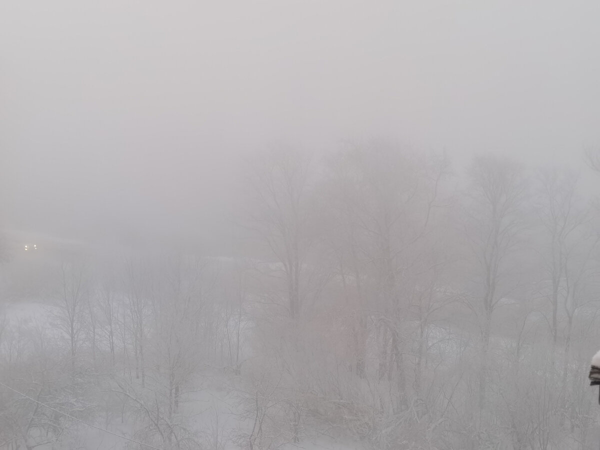 Авторское фото