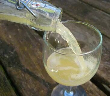 вкусный живой ферментированный напиток Тибикос