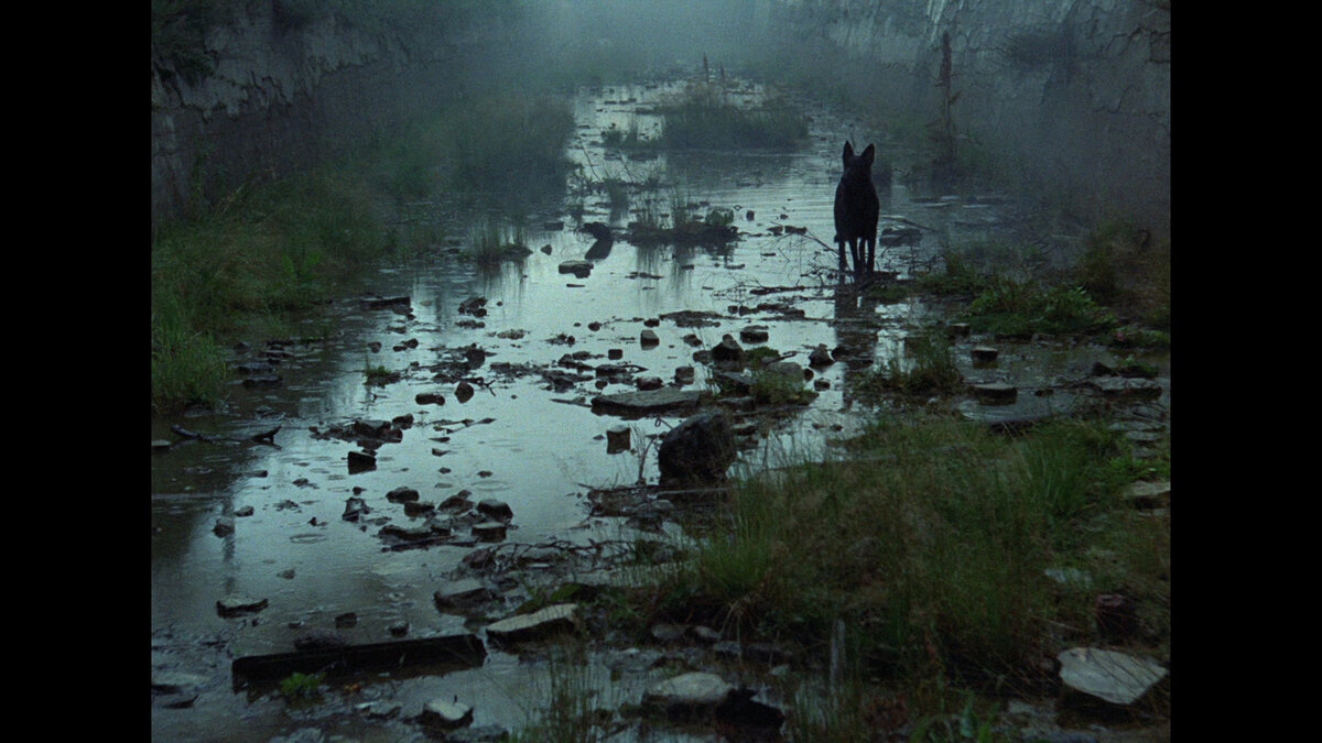 Кадр из фильма Андрея Тарковского «Сталкер«. Как и все другие фото в этой статье — из открытых источников на сетевых просторах.