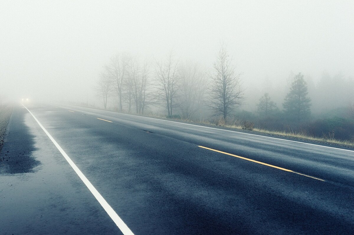 Фото с сайта Pixabay 