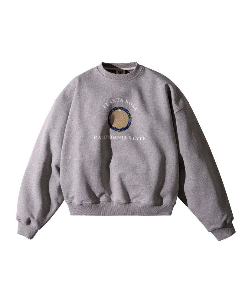 Planta Rosa 17 300 ₽