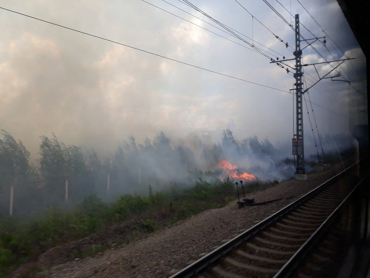 Фото из интернета