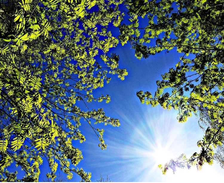 яндекс картинки