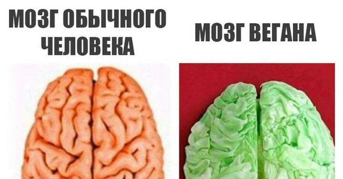 Но не все так плохо! Из Яндекс картинок
