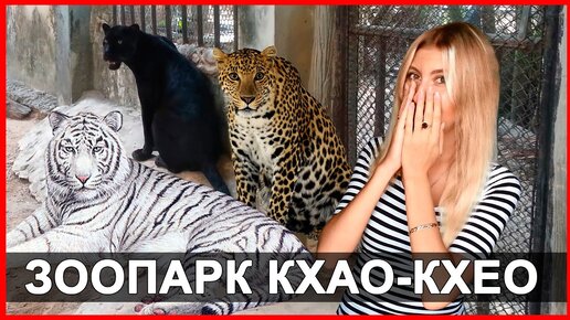 Зоопарк Кхао-Кхео в Таиланде - кормим белого тигра, столько животных в одном месте я ещё не видела