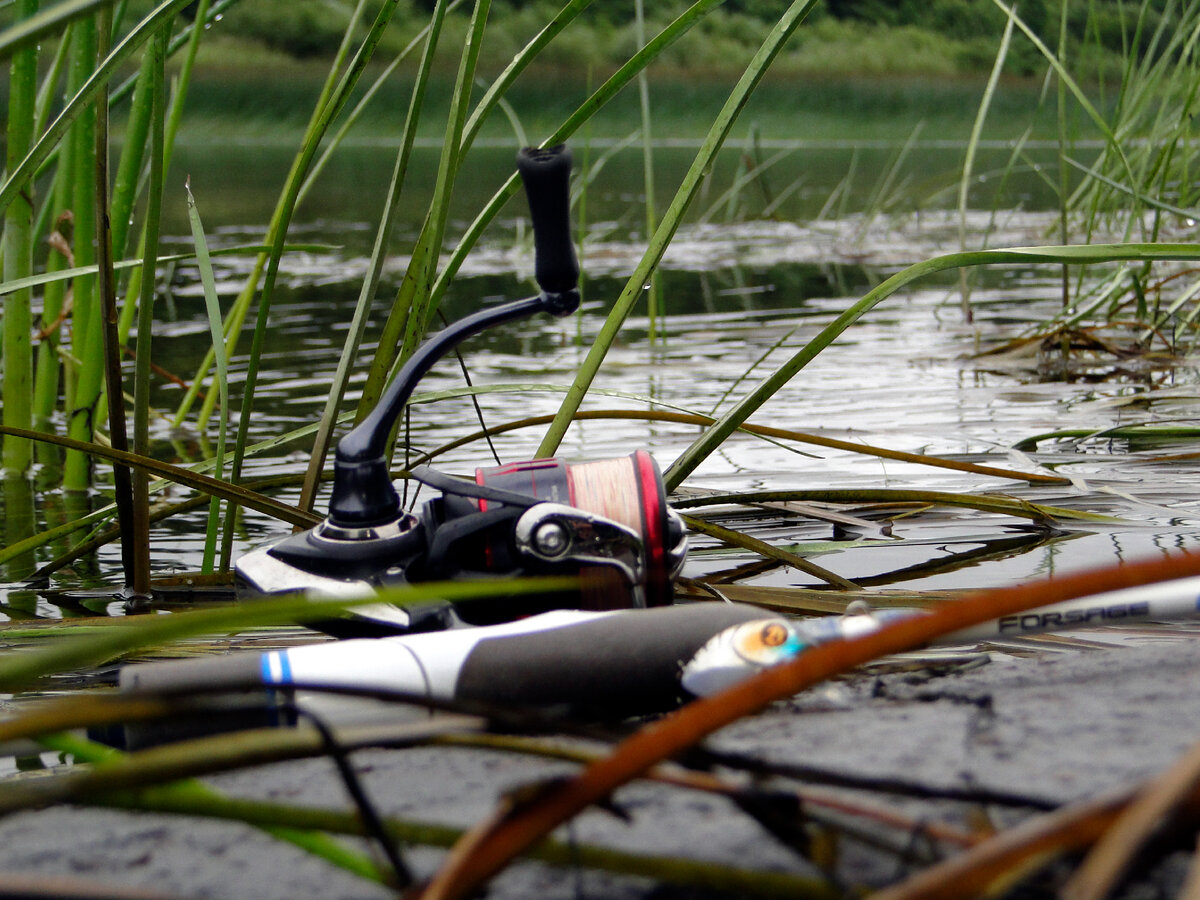 Нынешний комплект для ловли язя