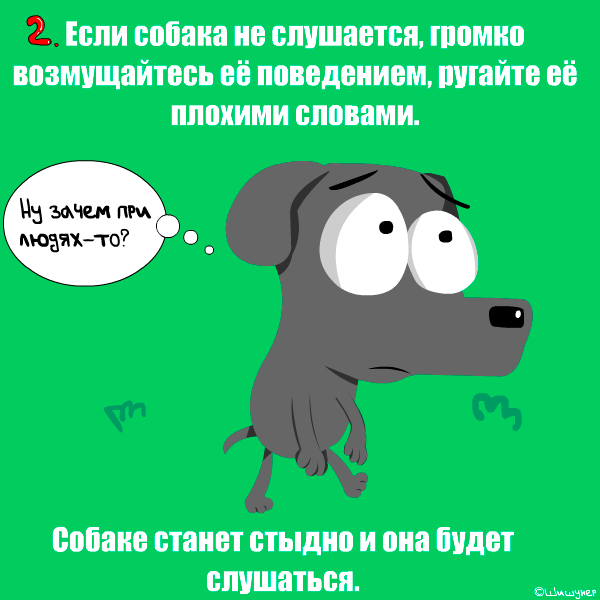 Что делать если собака не слушается. Собака не слушается. собака подчиняется. почему собака не слушается.