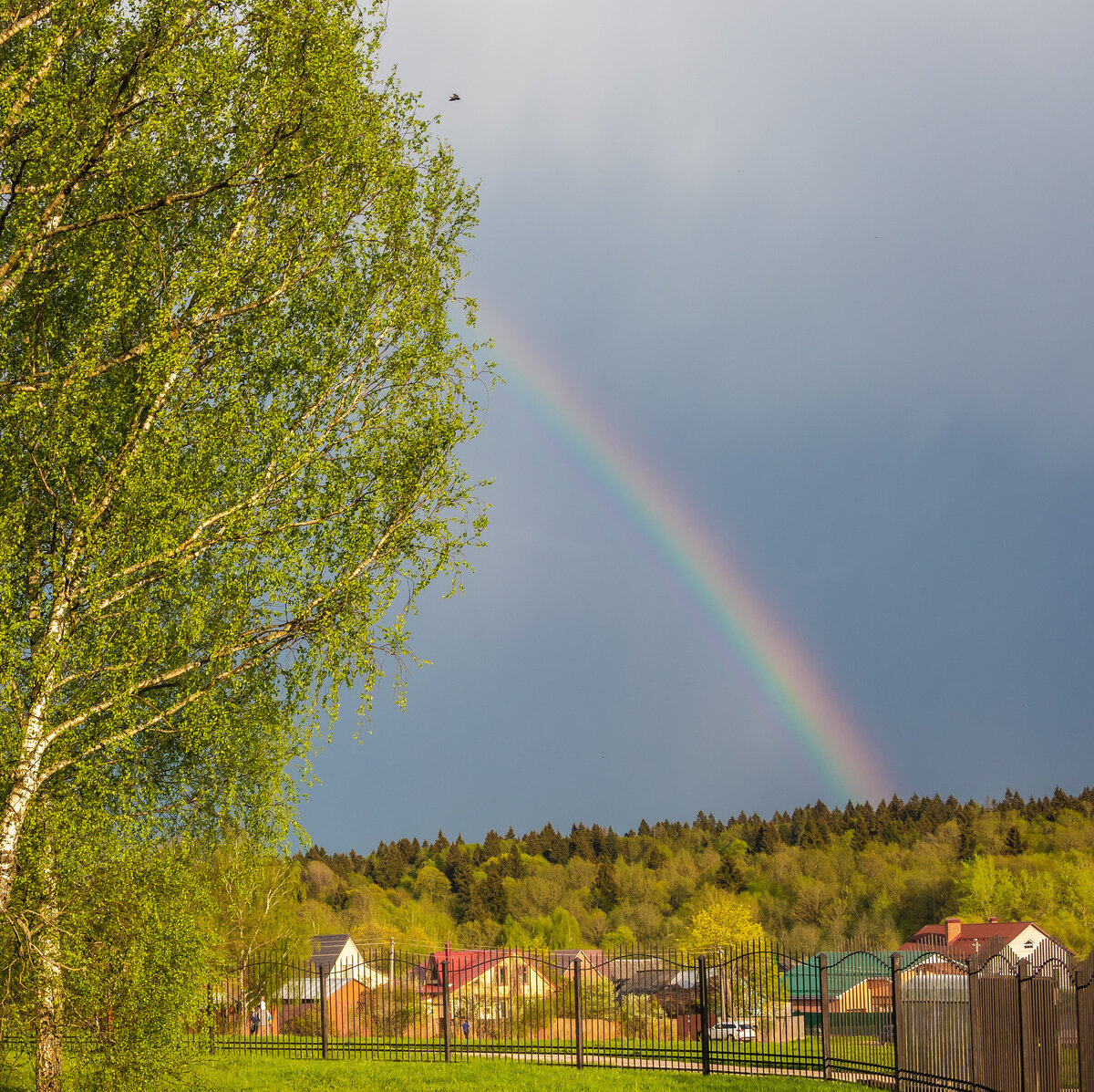 📸 Андрей Котуранов