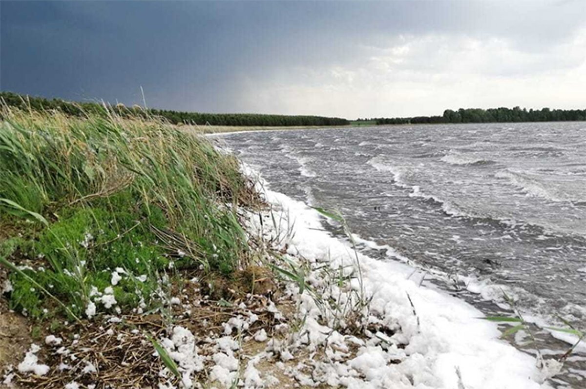    Солёные решения. В тюменской области учёные и бизнес спасают озеро