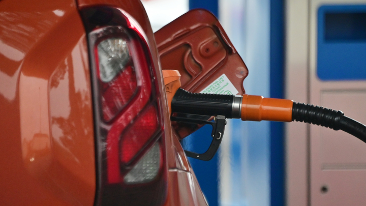 ФОТО: БАРАНОВ ВЛАДИМИР/GLOBALLOOKPRESS 