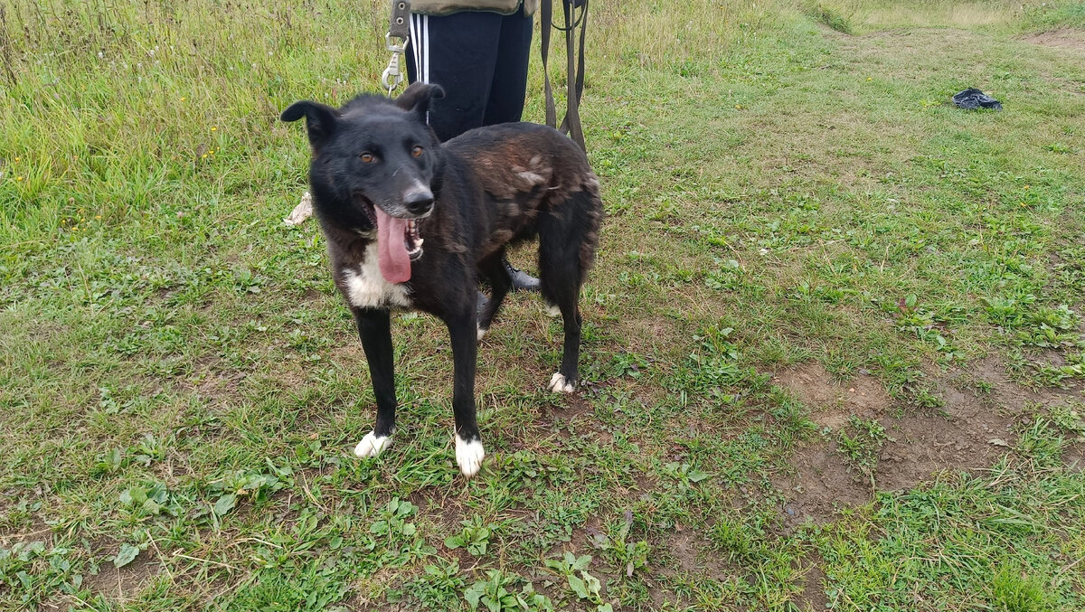 Найда ( из ляминской троицы)