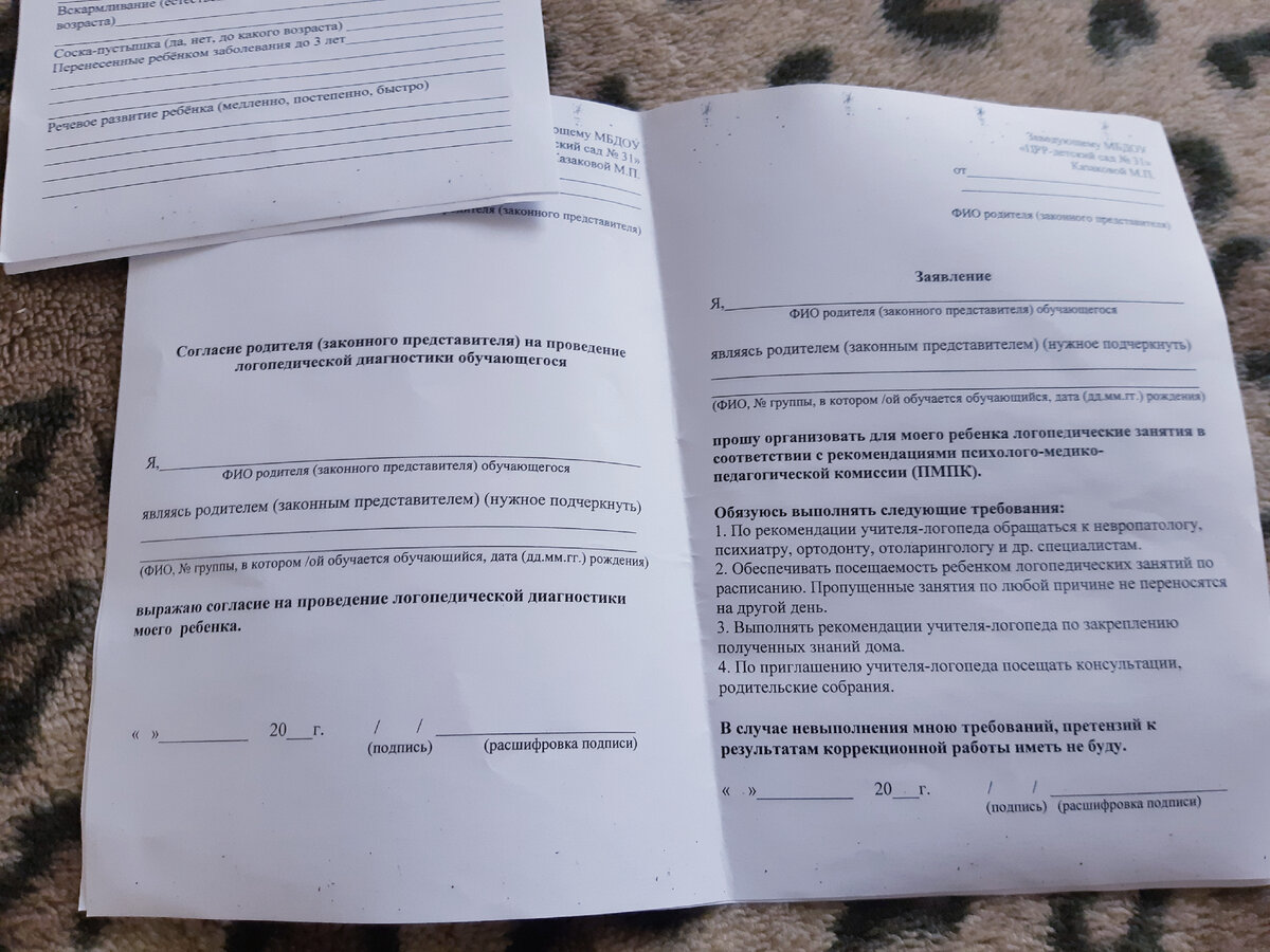 В КАКУЮ ГРУППУ ХОДЯТ ДВОЙНЯШКИ В ДЕТСКОМ САДУ ПОСЛЕ ПМПК | Двое за раз |  Дзен