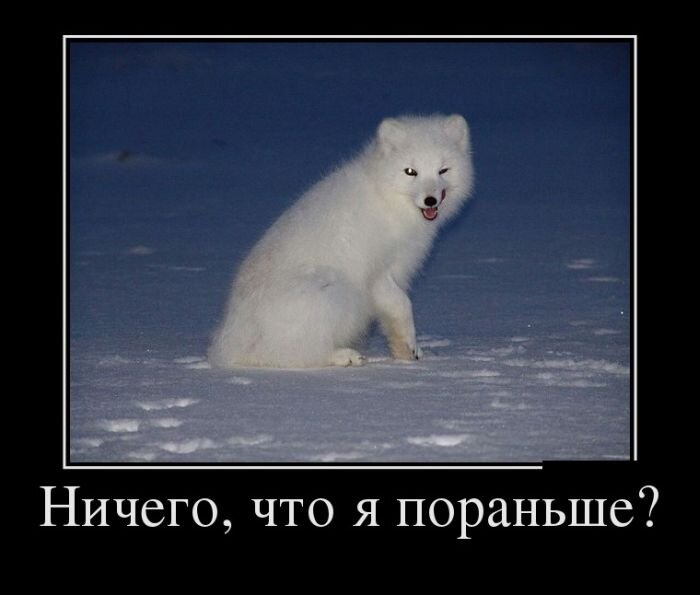 Картинка из открытых истчоников.