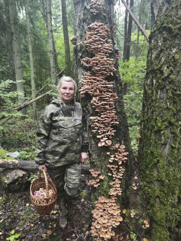 Фото Ирины, прислала  подписчица З,К, из Ватсапа.