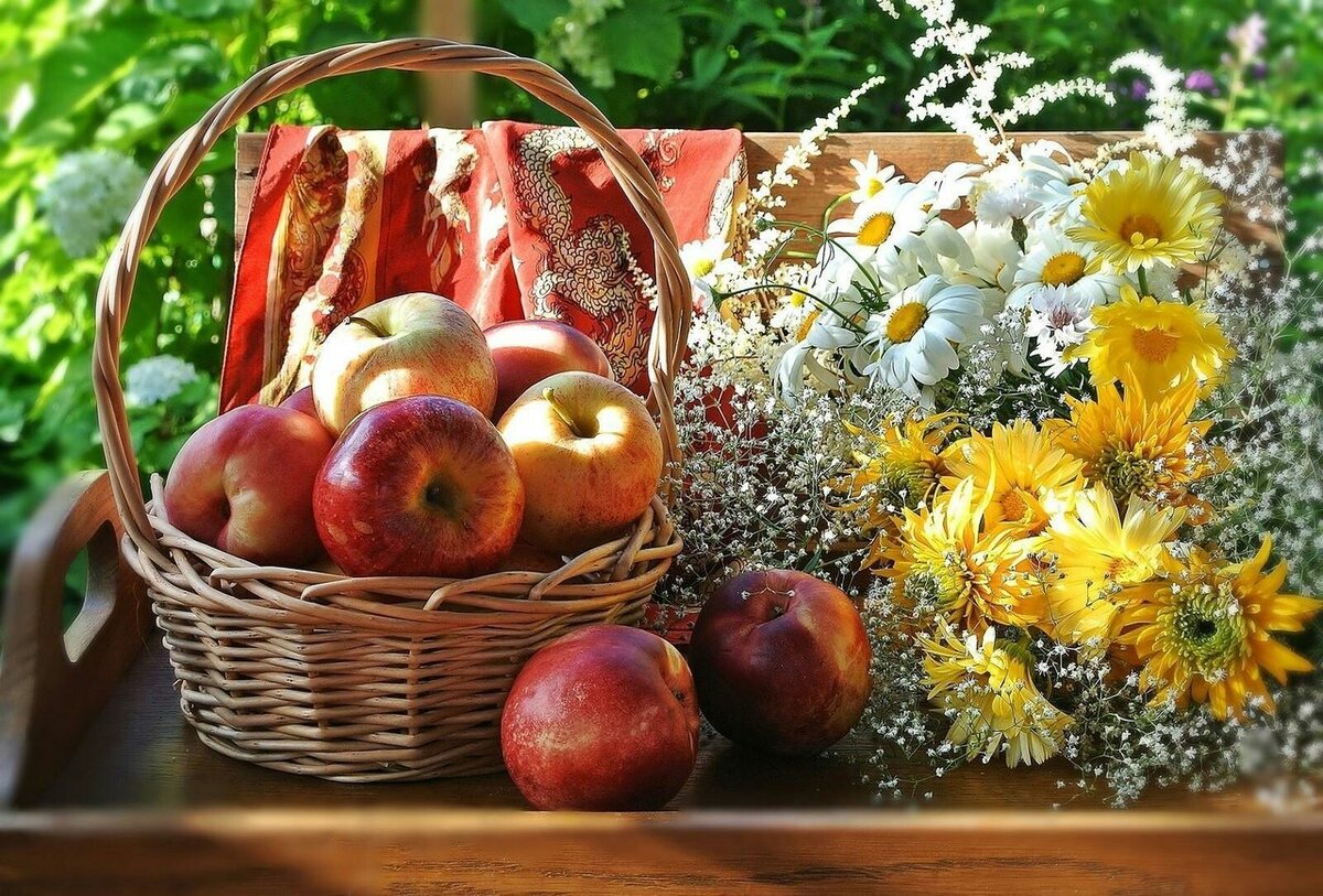 Некоторые астрологи балуют нас своими прогнозами каждый месяц.  Среди них Татьяна Лукашевич и Тамара Глоба, Оксана Шишова. Каким именно они видят август, читайте в статье.