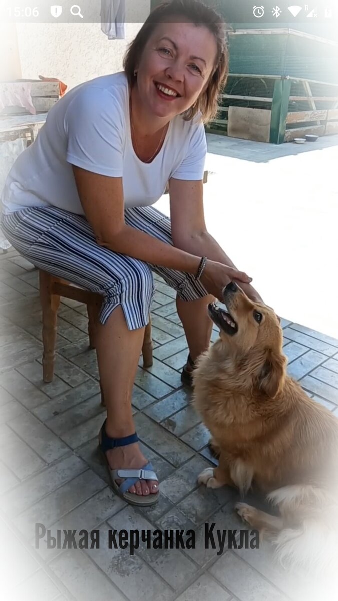 Собака очень ласковая