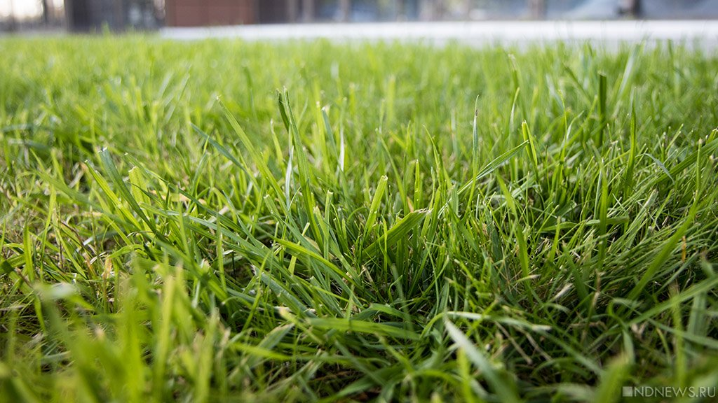 Фото взято из открытых источников