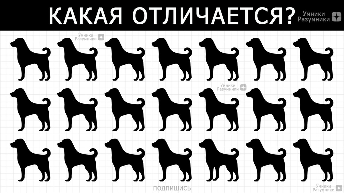 Найди одно отличие