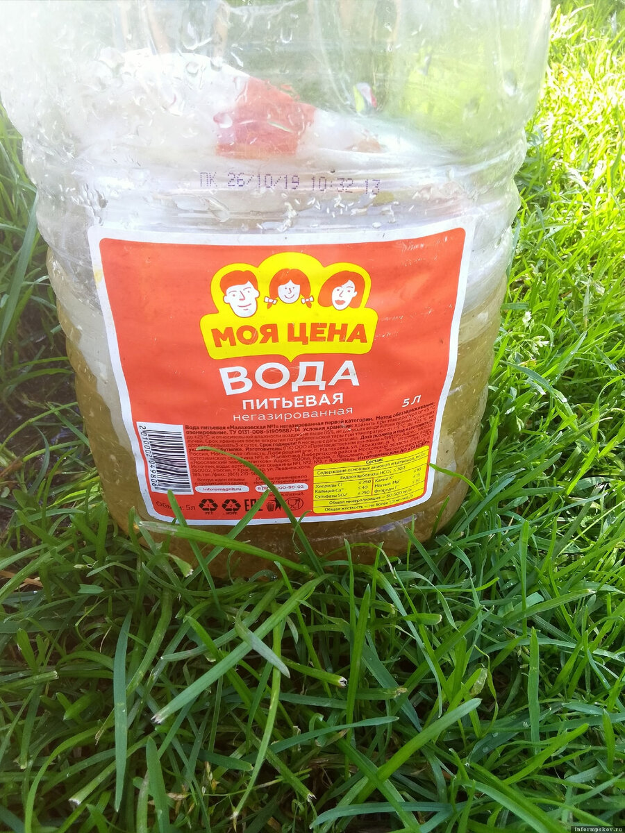 Фото здесь и далее: Светлана Мысливец / группа «Подслушано Локня» в соцсети «ВКонтакте»