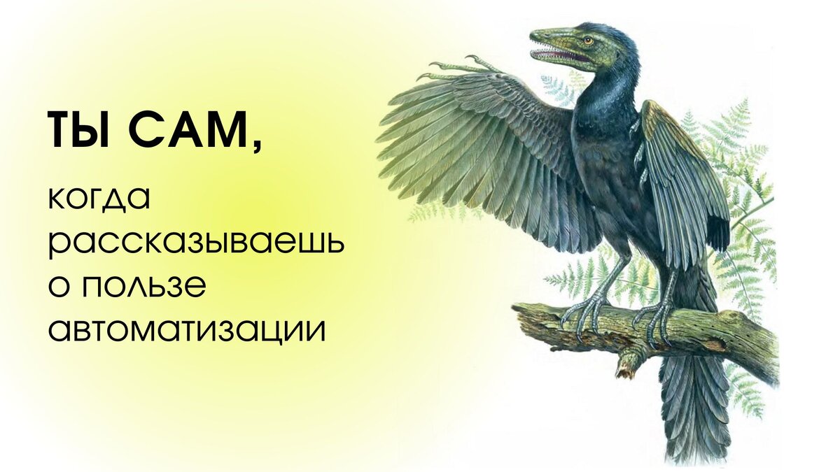 Автоматизация - наше будущее! Не становись курицей! Будь покорителем неба