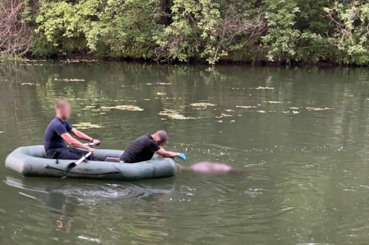    В Бузулуке из реки извлекли тело женщины.