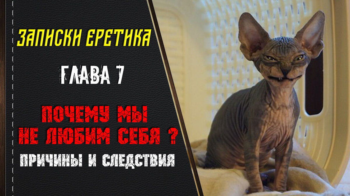 Записки еретика. Почему мы не любим себя? Причины и следствия? Глава 7.
