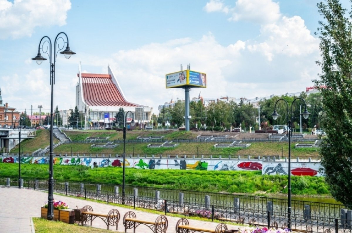    В центре Омска художники завершили работу над спортивным муралом