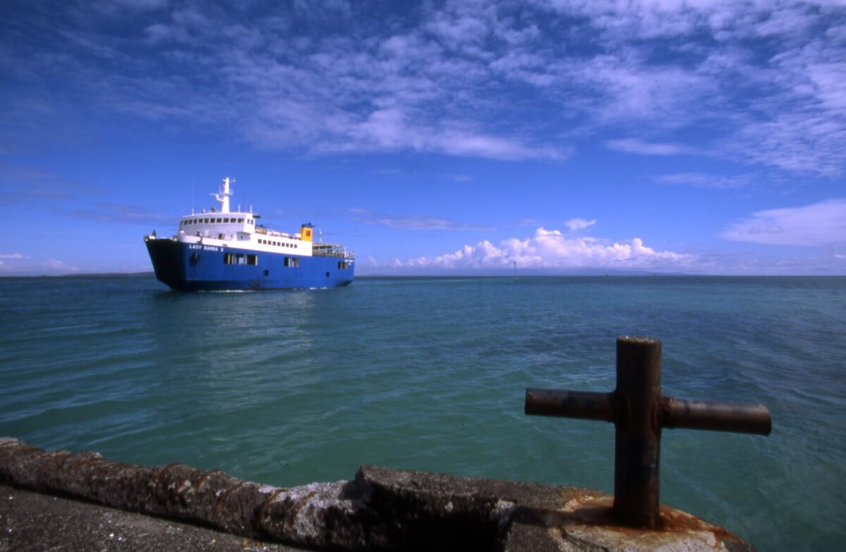 ХОРОШО БЫ ЗАНЯТЬСЯ ЭКОЛОГИЕЙ НА САМОМ ДЕЛЕ, А НЕ ТАК, КАК ЭТО ВЫГОДНО КУРАТОРАМ. ФОТО: ANDREI KAMENEV RUSSIAN LOOK/GLOBALLOOKPRESS.