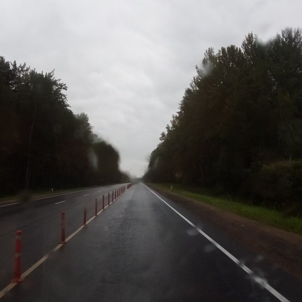 Дорога в лес 