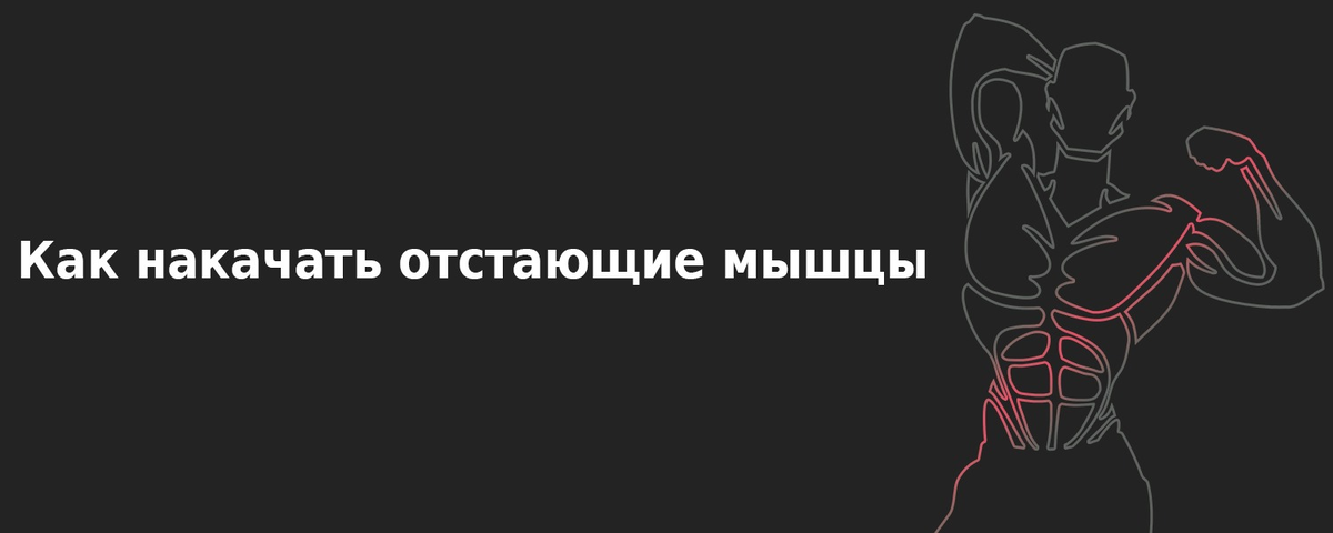 Как бы тщательно ни была продумана система тренировок, почти у каждого находится упрямая группа мышц, а иногда и не одна, которая не желает развиваться «в ногу» с остальными и портит картину.