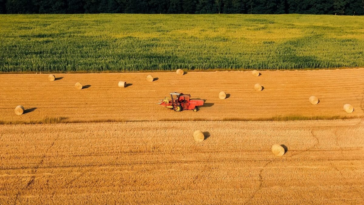    Фото: unsplash.com. Анатолий Пак