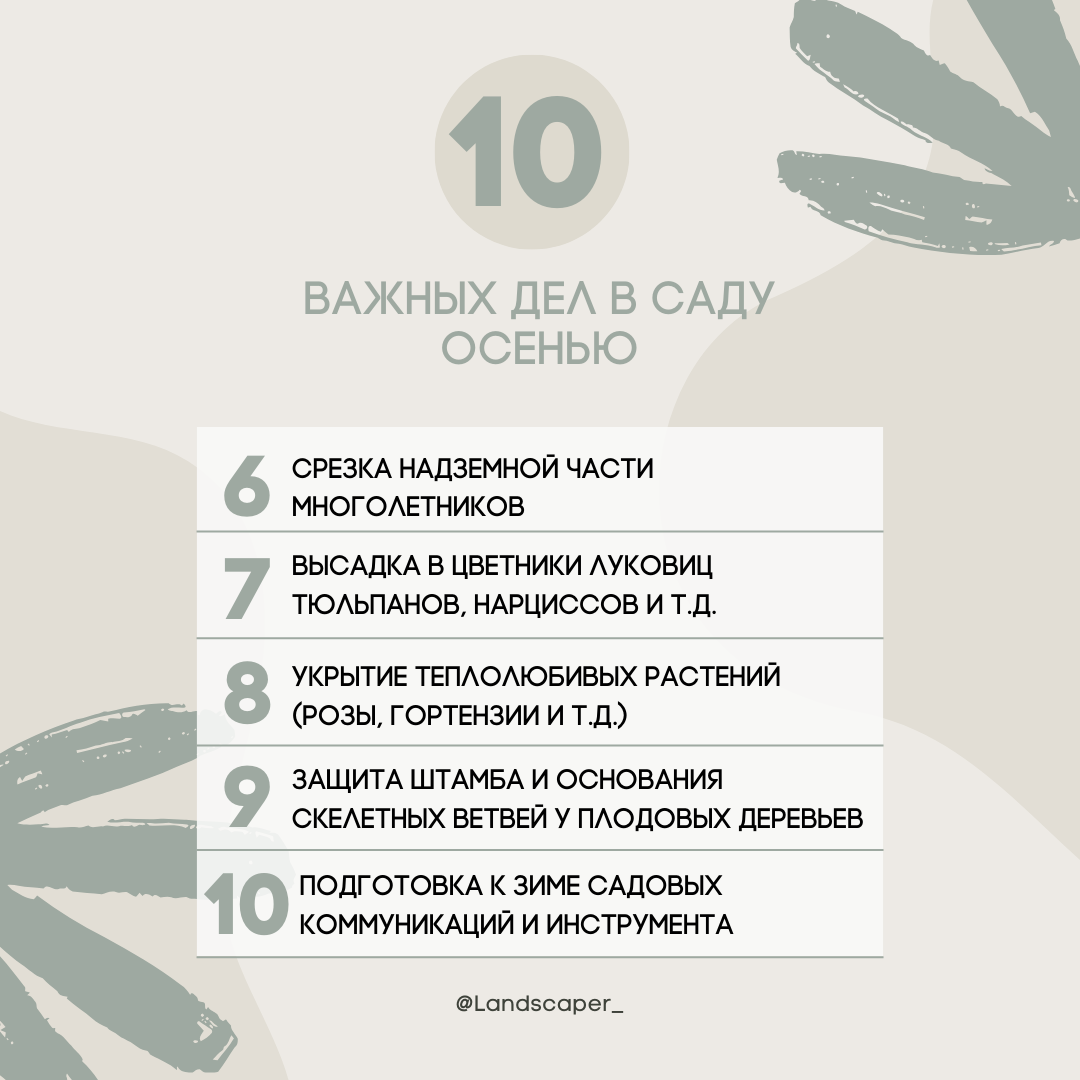 Список осенних работ в саду | Все о ландшафтном дизайне | Дзен