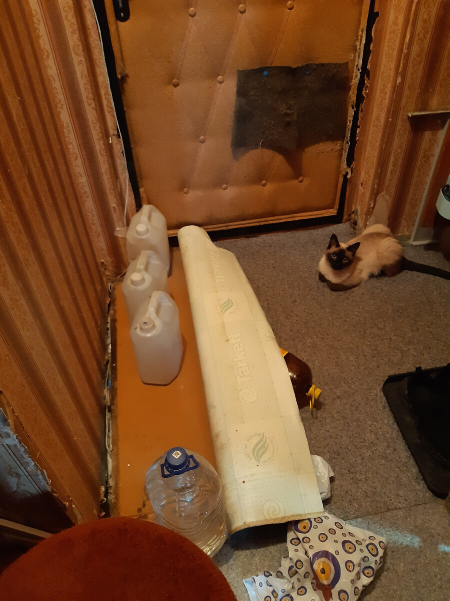 И вовсе он не дармоед. Вот, сидит мышь выслеживает.