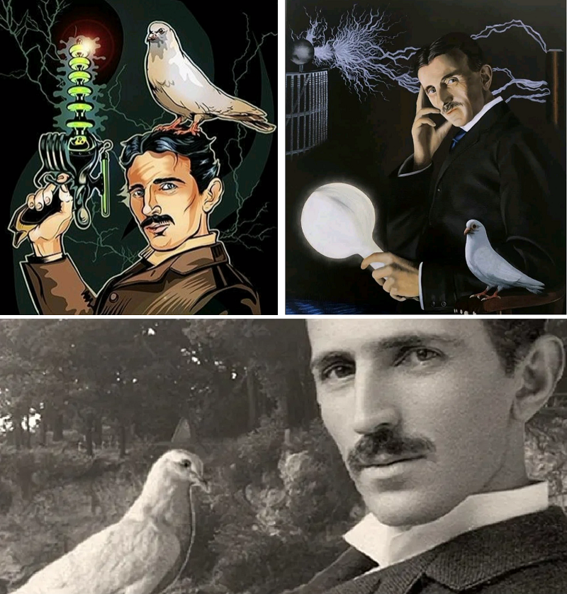 Загадка Николы Теслы: интересных 7 фактов из биографии гения. Часть 1 ...