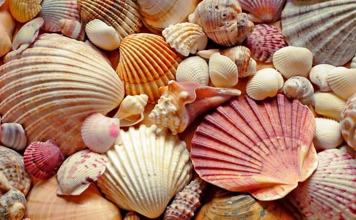 Фото: Pixabay