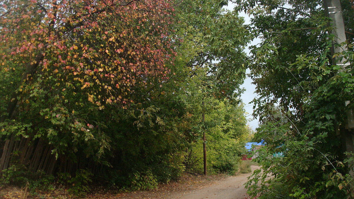 Поднимаясь наверх