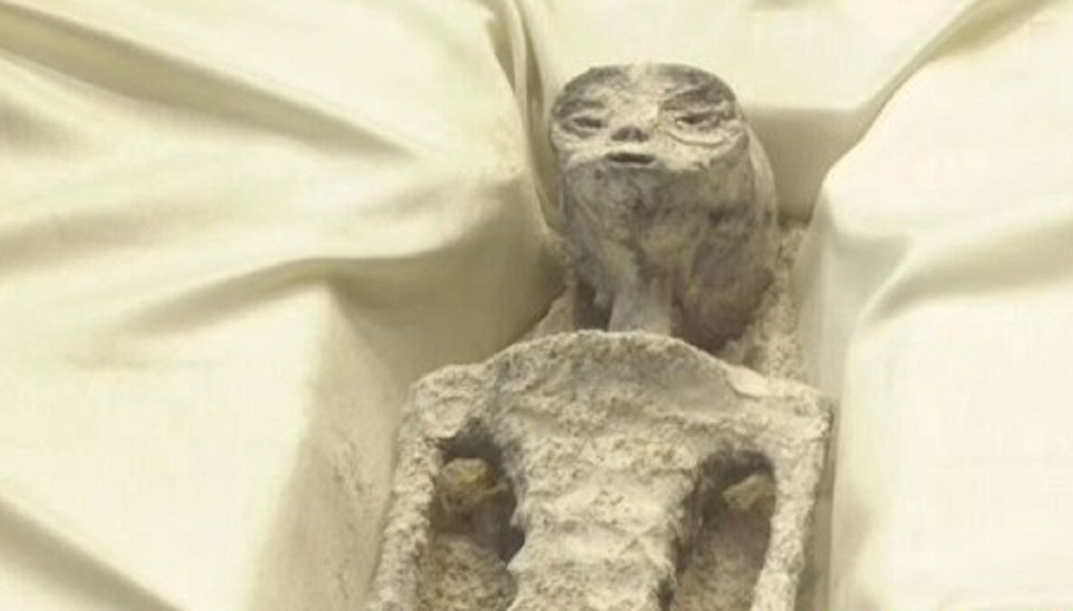 Артефакты найденные в помпеях. Жизнь в мексике. Розуэлл нью-мексико крушение нло. 14 инопланетян мексика. 14 инопланетян мексика.