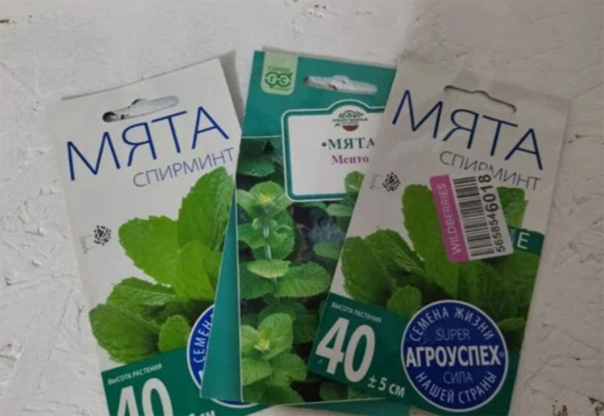 Семена мяты, фото пачек. 