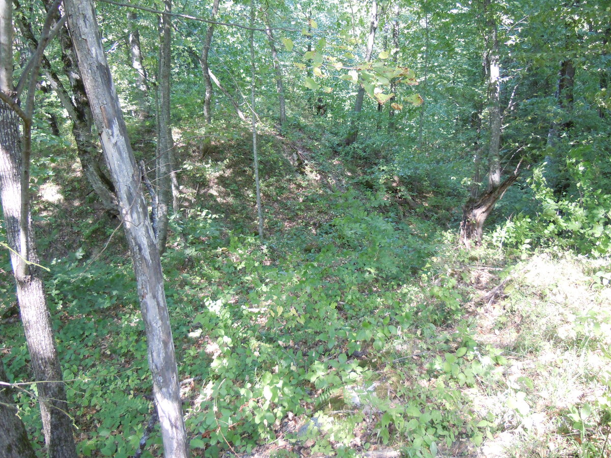 12. Наиболее трудноидентифицируемый снимок. Вид по ложбине с востока далее на запад