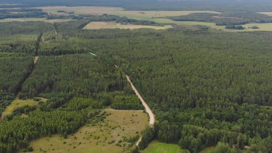    Власти Истринского округа рассказали, где могли упасть обломки сбитого БПЛА Роман Захаров