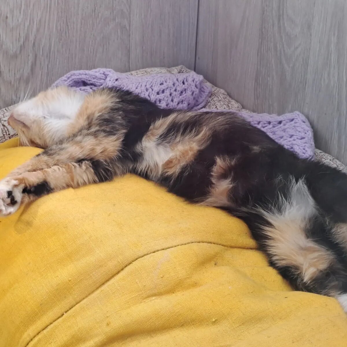 На расслабоне