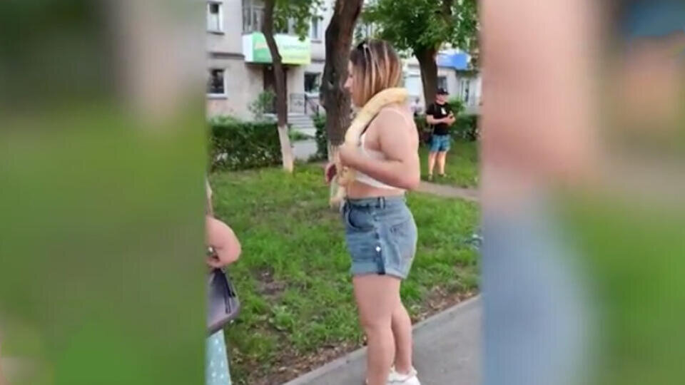 Фото: © скриншот видео