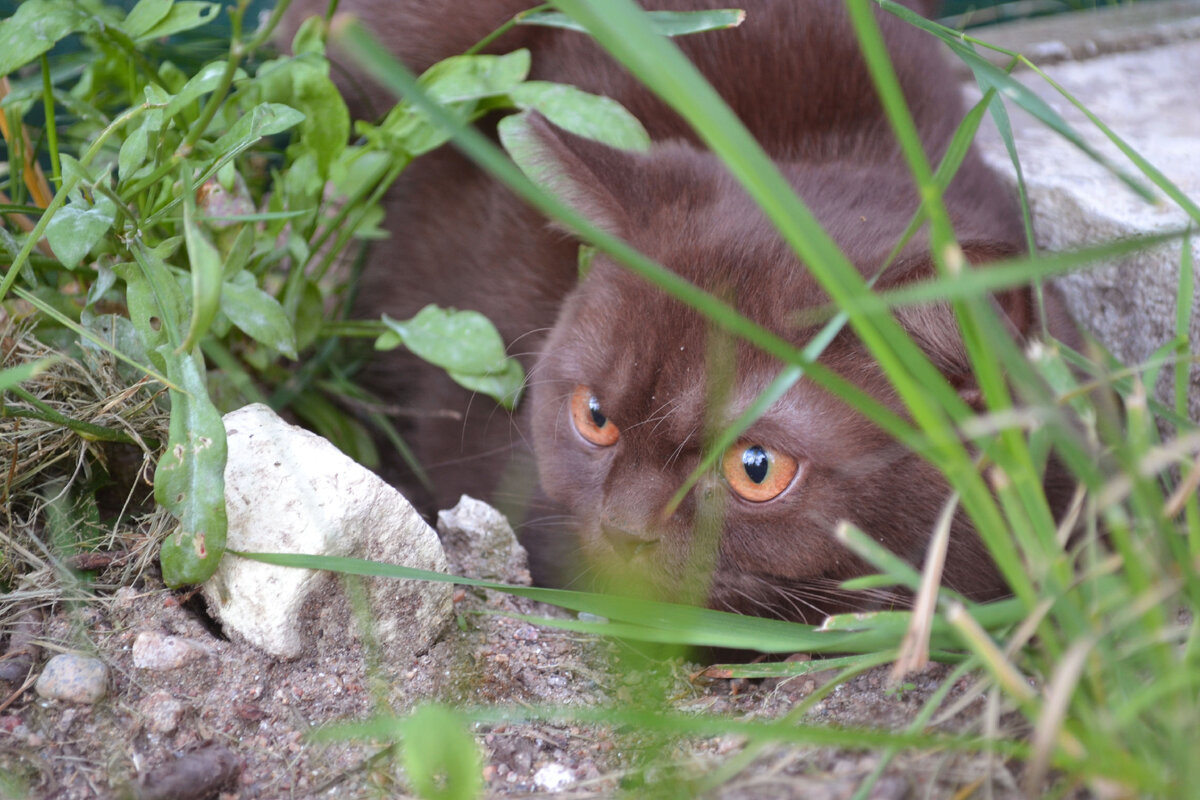 Страшново-то чето, в ямке попрячусь на всякий случай))